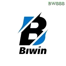 Biwin